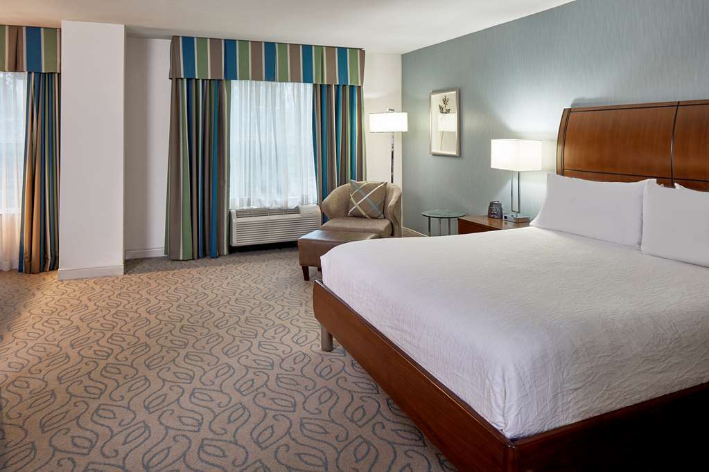 Hilton Garden Inn Atlanta Midtown Δωμάτιο φωτογραφία
